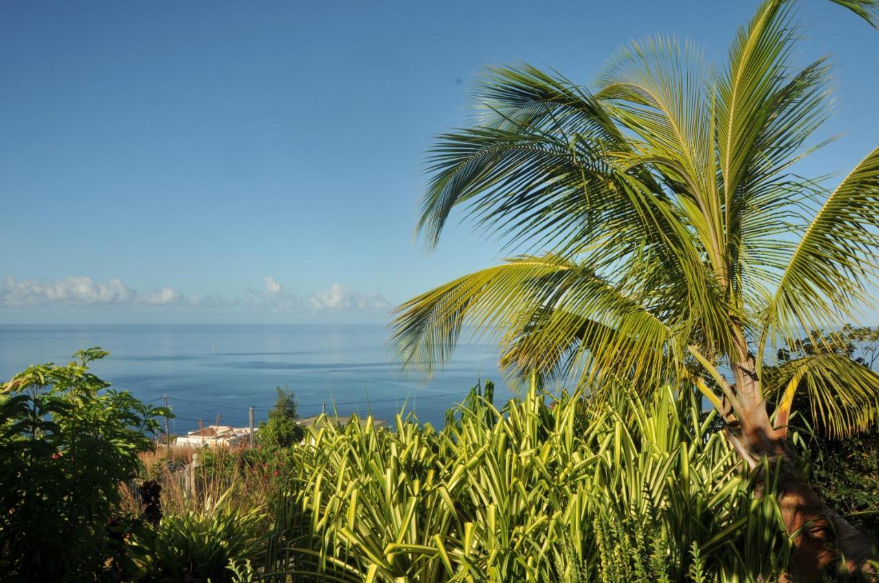Mango Island Lodges Saint Joseph Buitenkant foto
