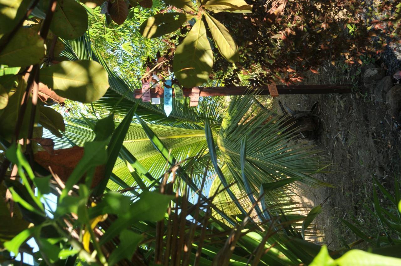 Mango Island Lodges Saint Joseph Buitenkant foto
